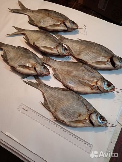 Лещ, вобла астраханская