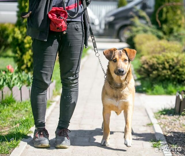 Рони- отличный парень