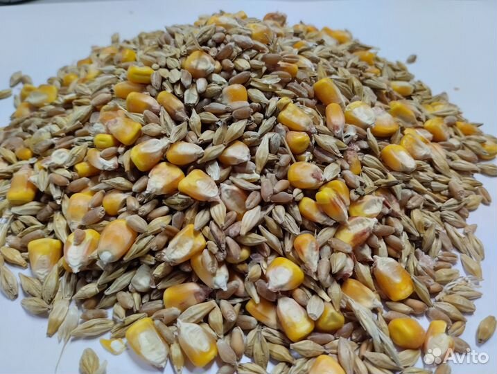 Зерносмесь