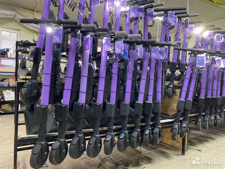 Электросамокаты для кикшеринга