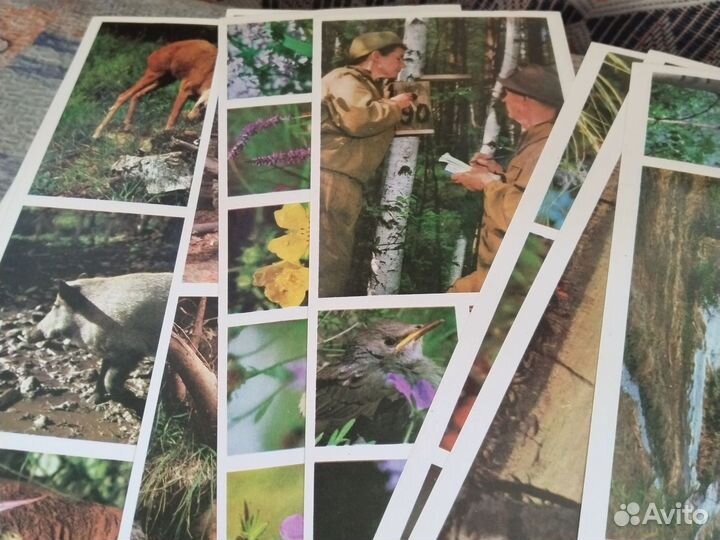 Набор открыток СССР