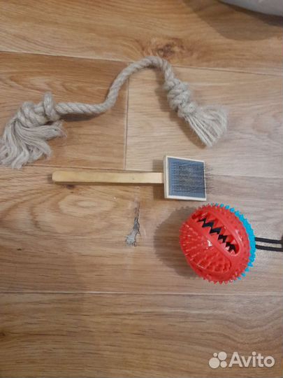 Строгий ошейник для собак