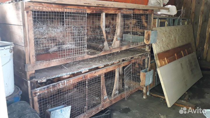 Клетки для кроликов бу