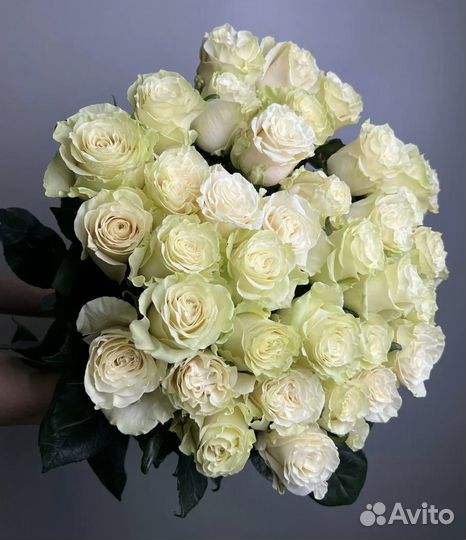 Букет роз эквадор