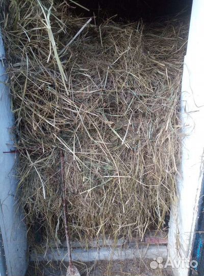 Сено луговое