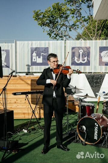 Скрипач Музыкант Живая музыка скрипка