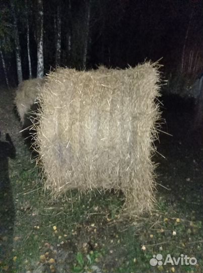 Солома в тюках с доставкой