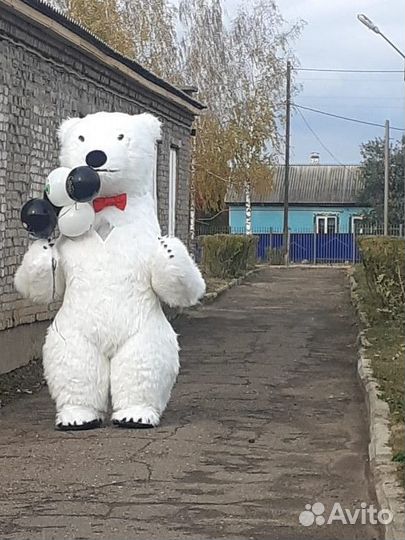 Белый Мишка поздравление