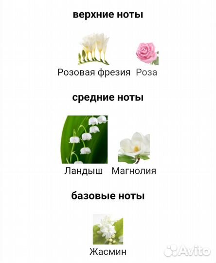 Byredo - Inflorescence