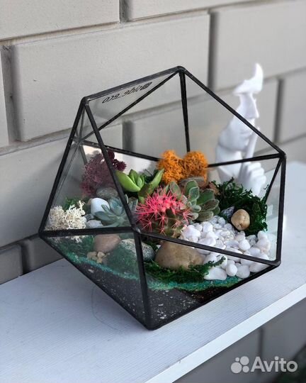 Цветы. Подарок. Флорариум. Суккуленты