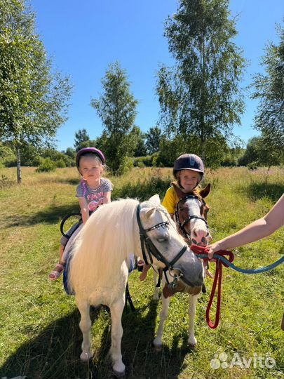 Обучение верховой езде, выезд на праздник