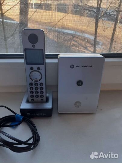 Домашний телефон motorola