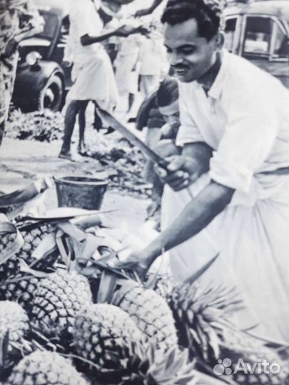 Книга николай козловский