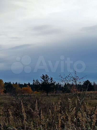 Участок 10 га (СНТ, ДНП)