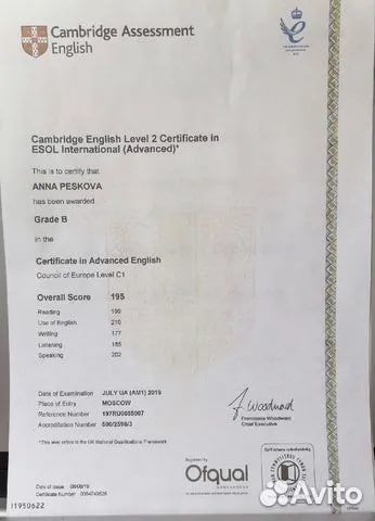 Репетитор по английскому языку, ЕГЭ, ОГЭ