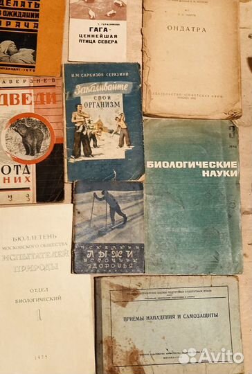 Книги, много