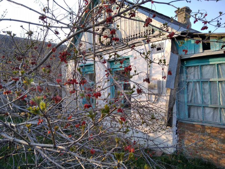 Дом 39 м² на участке 19 сот.