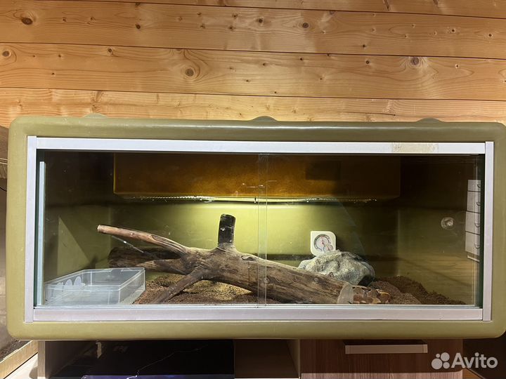 Террариум для рептилий