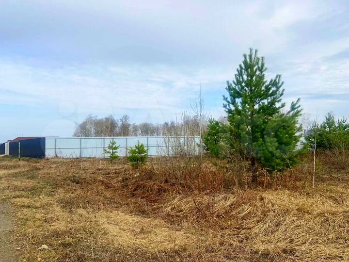 Участок 11,5 сот. (ИЖС)