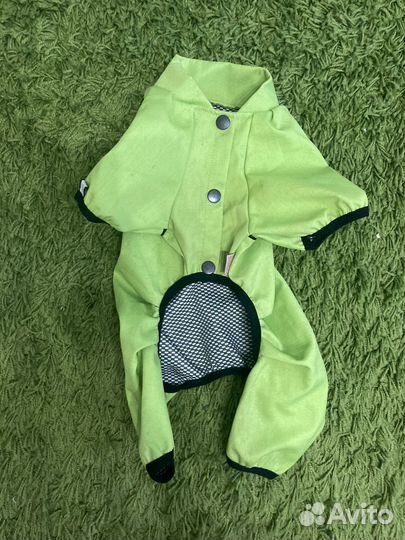 Одежда для собак