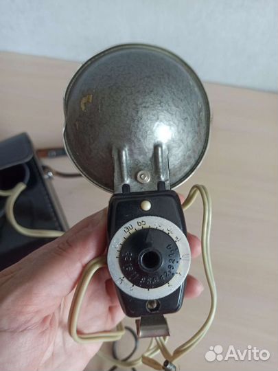 Вспышка Чайка