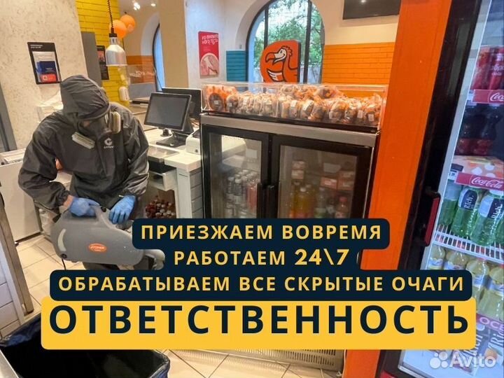 Уничтожение тараканов Уничтожения клопов