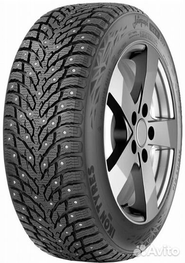 Ikon Tyres Autograph Ice C3 215/75 R16C 116R