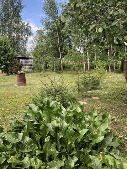 Дача 40 м² на участке 6,3 сот.