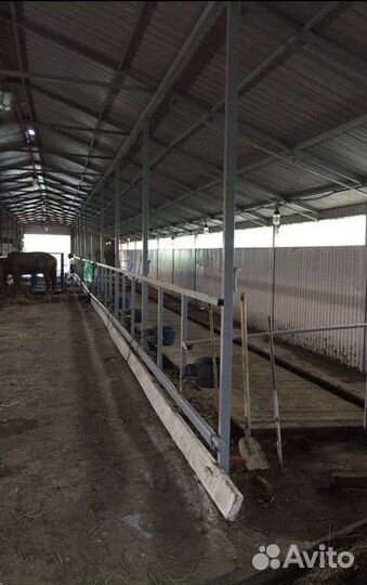 Продам миниферму