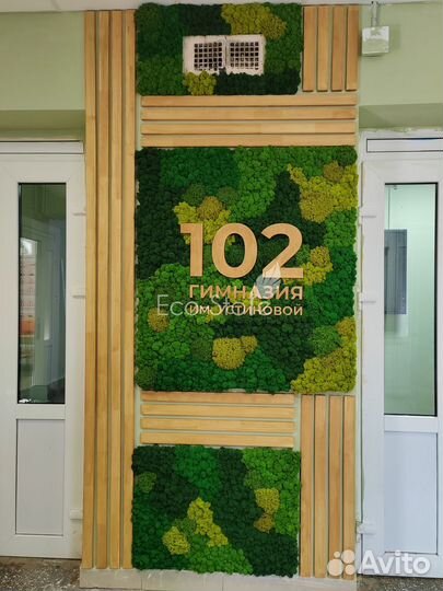 Картина из мха микс зеленых