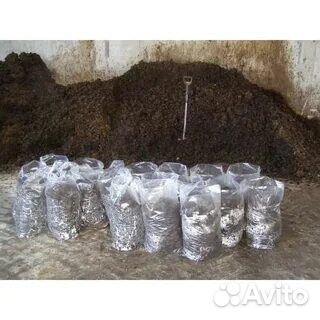 Навоз коровий в мешках и навалом