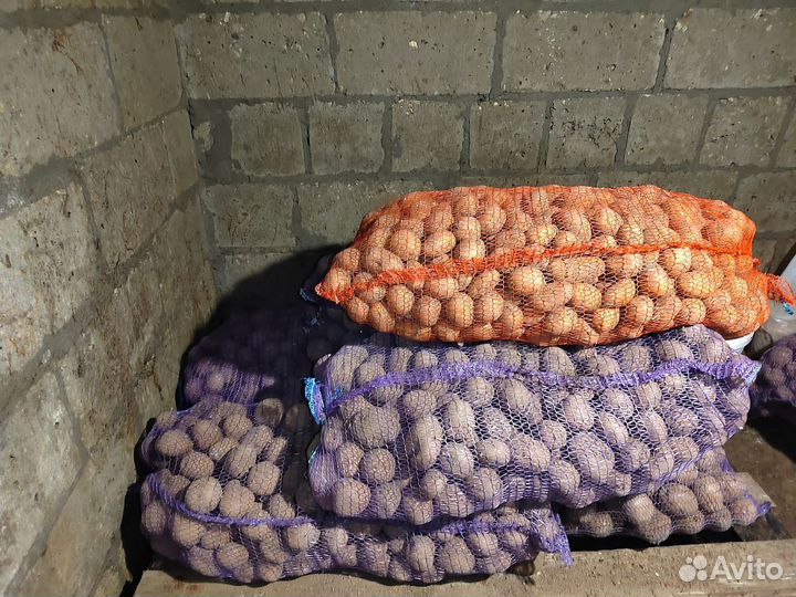 Продажа овощей
