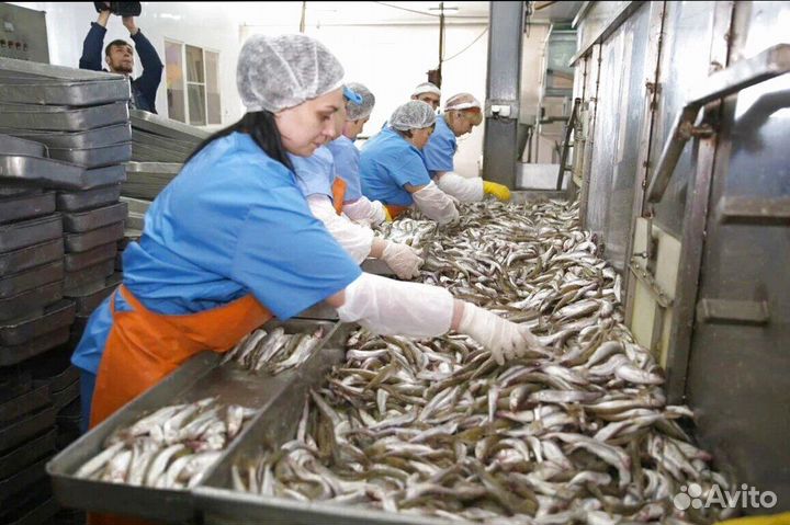 Разнорабочий (вахтовый метод работы)