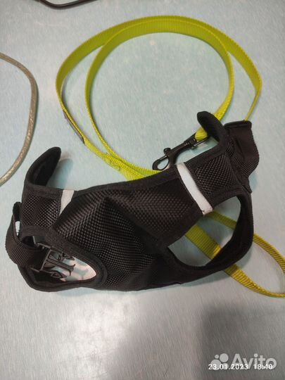 Шлейка с поводком