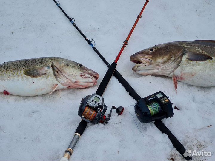 Морская электрокатушка на палтуса 800MJ