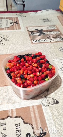 Земляника лесная
