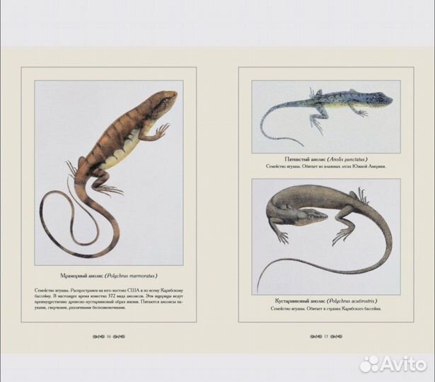 Книга рептилии