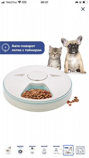 Автокормушка для кошек и собак