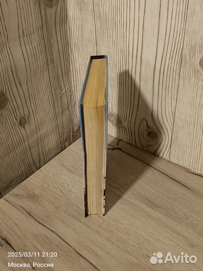 Филип Дик,Бегущий по лезвию