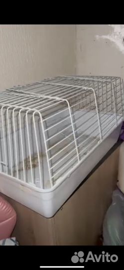 Клетка для кролика,морских свиноу и шиншил