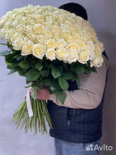 Розы Букеты Цветы Роза Букет