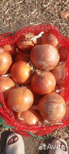 Продукты питания оптом