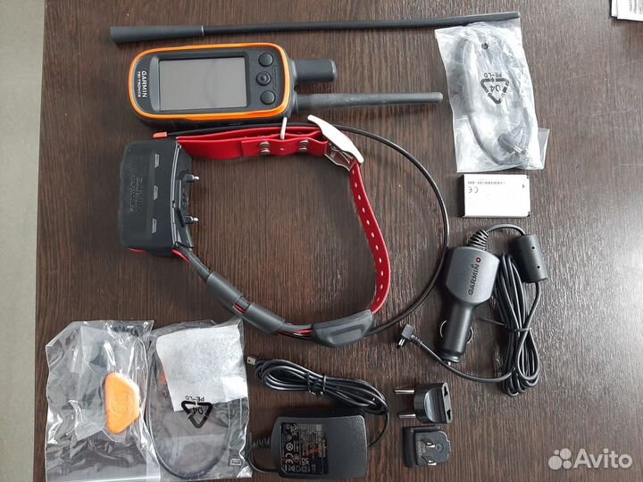 Garmin alpha 100 с ошейником tt 15 Америка
