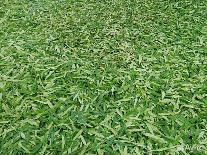 Иван чай ферментированный