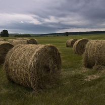 Продам сено в рулонах Миасс/Златоуст