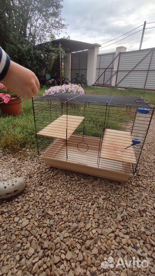Клетка для грызунов бу