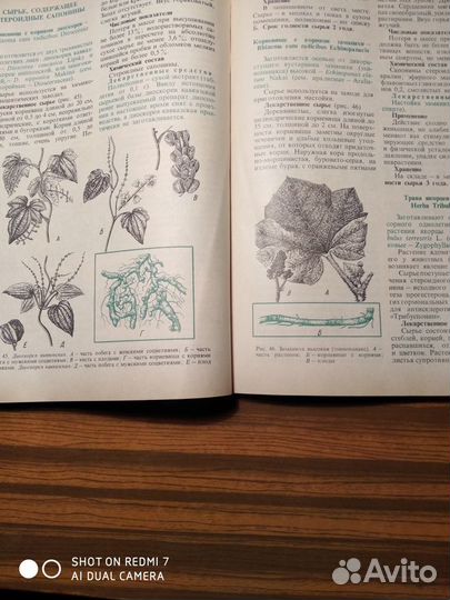 Лекарственное растительное сырье и препараты