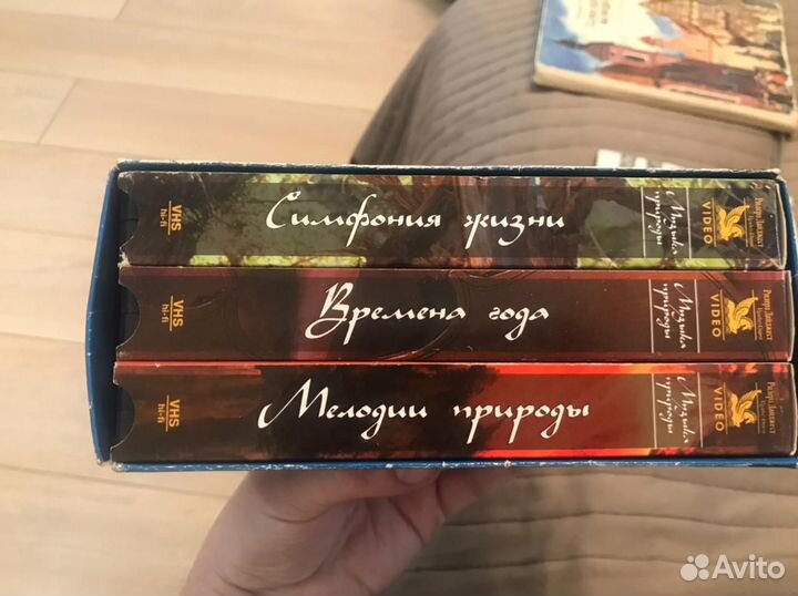 Коллекция видеокассет