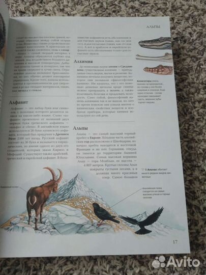 Детская энциклопедия