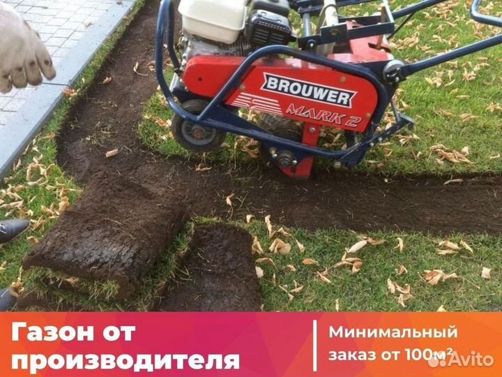 Рулонный газон, укладка, продажа